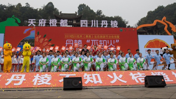 丹棱不知火桔橙桃花节
