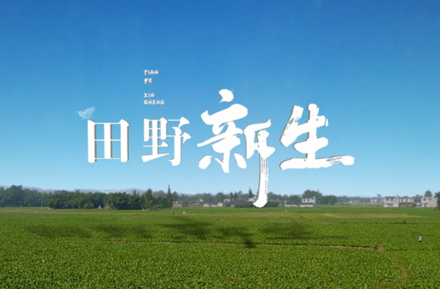 野外新生