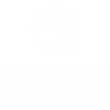 新红阳集团