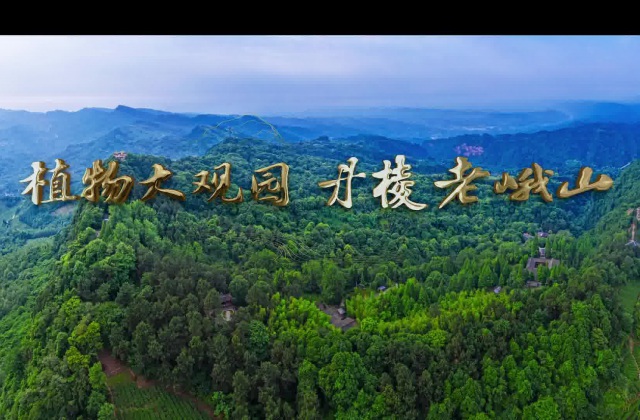 植物大观园·丹棱老峨山都会形象宣传片拍摄制作