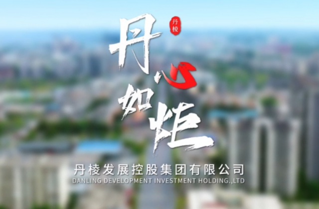 丹棱生长控股集团